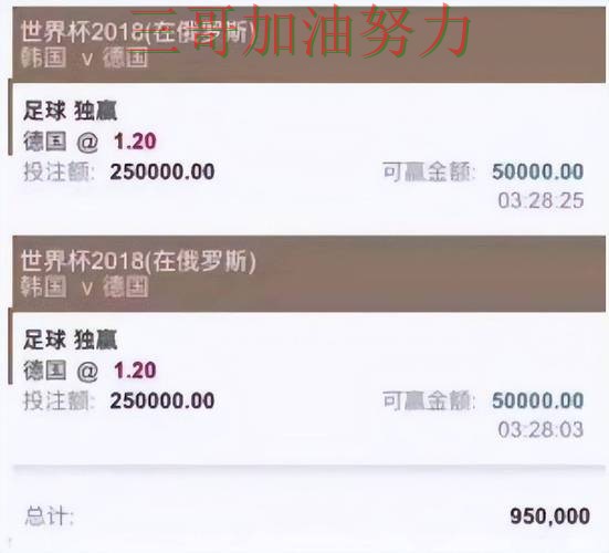 世界杯买球平台哪个好？围绕访问方式+直播体验做一次汇总（世界杯全球总决赛）